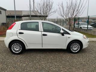 FIAT Punto usata, con Airbag Passeggero