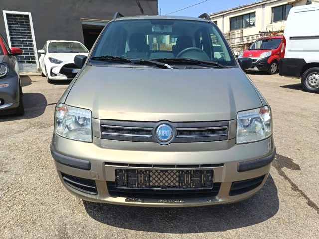 FIAT Panda usata 2