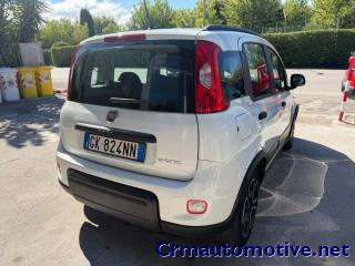 FIAT Panda usata, con Antifurto