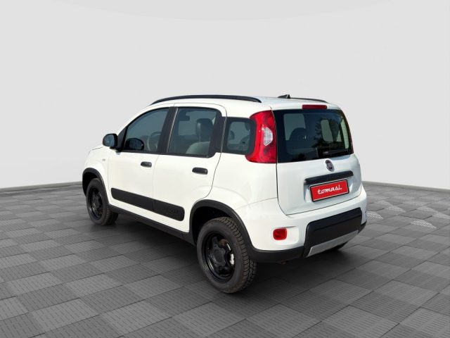FIAT Panda usata 2