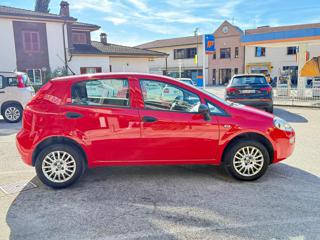 FIAT Punto usata, con Climatizzatore