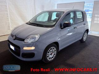 FIAT Panda usata, con Airbag Passeggero