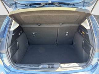 FORD Focus usata 13