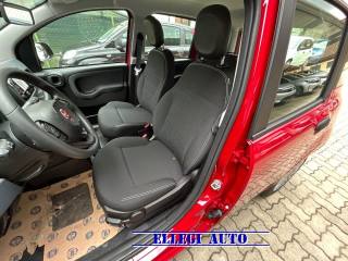 FIAT Panda usata, con Cruise Control