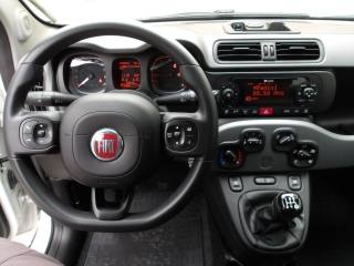 FIAT Panda usata, con Immobilizzatore elettronico