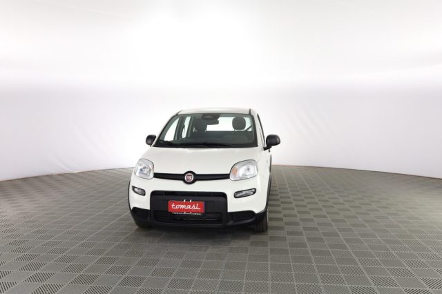 FIAT Panda usata 0