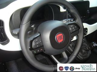 FIAT Panda Cross usata, con Volante multifunzione