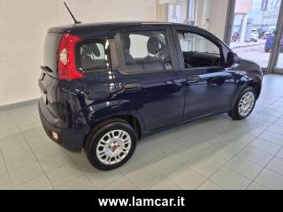 FIAT Panda usata, con Servosterzo