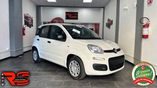 FIAT Panda usata, con Volante multifunzione