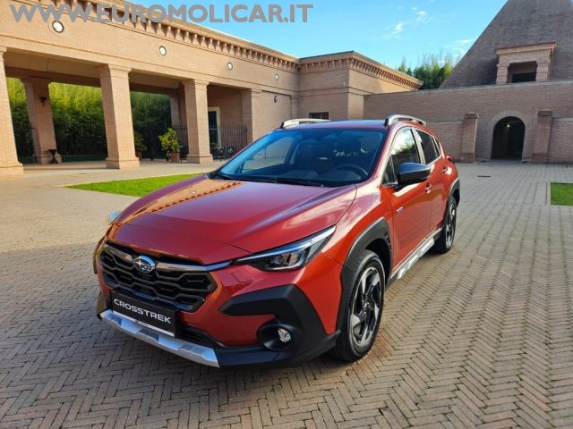 SUBARU Crosstrek usata 17