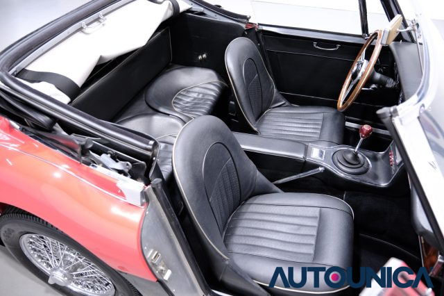 AUSTIN Healey usata 51