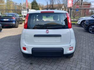 FIAT Panda usata, con Controllo elettronico della corsia