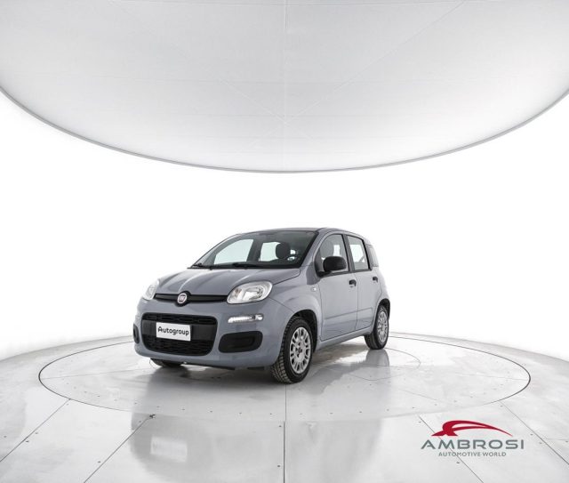 FIAT Panda usata 0