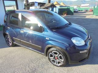 FIAT Panda usata 15