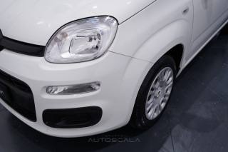 FIAT New Panda usata 21