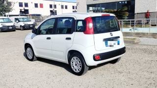 FIAT Panda usata, con Airbag Passeggero