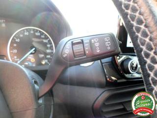 FORD EcoSport usata, con Bracciolo