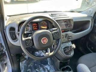 FIAT Panda usata, con Cerchi in lega