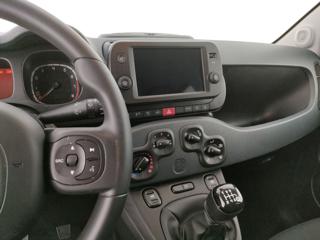 FIAT Panda Cross usata, con Climatizzatore