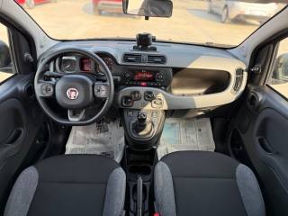 FIAT Panda usata 20