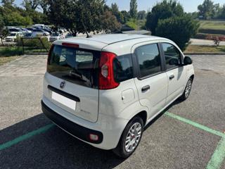 FIAT Panda usata, con Boardcomputer