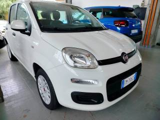 FIAT Panda usata, con Airbag testa