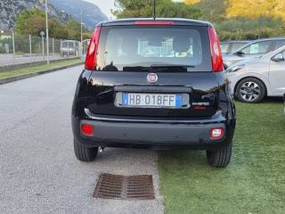 FIAT Panda usata, con Antifurto