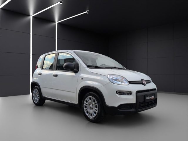 FIAT Panda usata, con Chiusura centralizzata