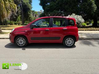 FIAT Panda usata, con Airbag Passeggero