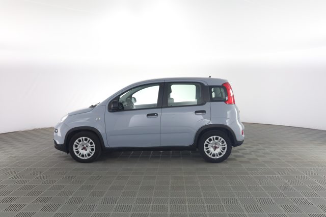 FIAT Panda usata 6