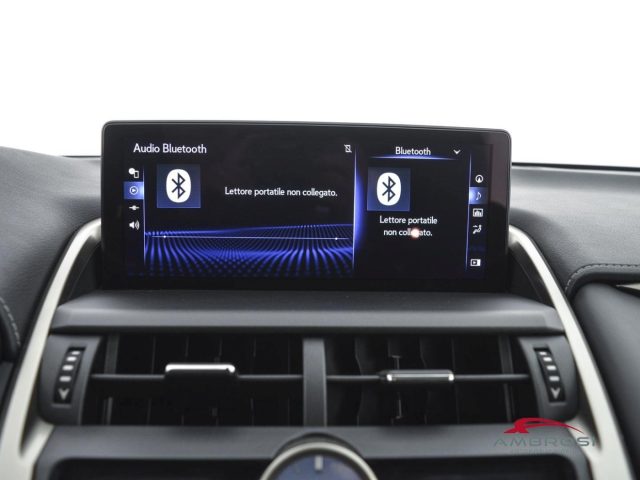 LEXUS NX 300h usata 14