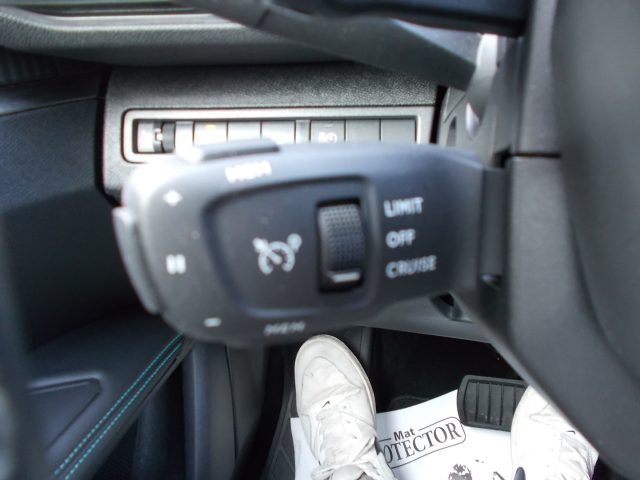 PEUGEOT 3008 usata, con Cruise Control