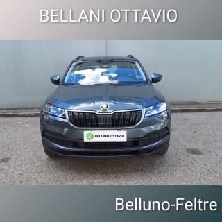 SKODA Karoq usata, con Airbag