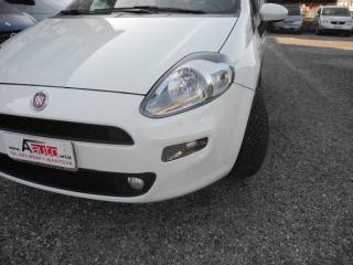 FIAT Punto usata 44