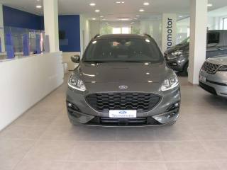 FORD Kuga ST-Line X 1.5 EcoBlue 120cv Automatica A8 2WD