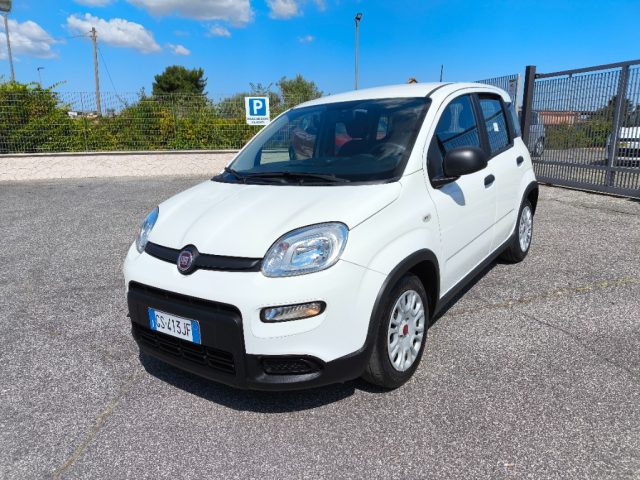FIAT Panda usata 2