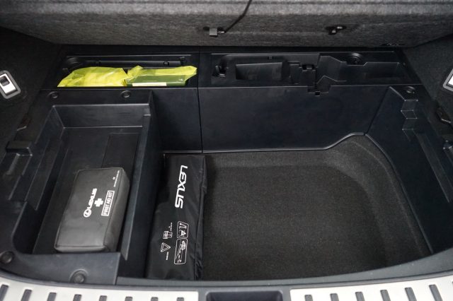 LEXUS NX 300h usata 33