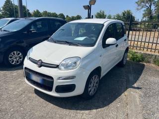FIAT Panda usata, con Airbag Passeggero