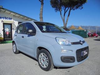 FIAT Panda usata 15