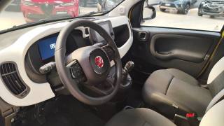 FIAT Panda usata, con Cruise Control