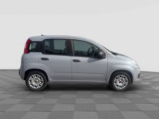 FIAT Panda usata 6