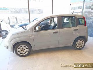 FIAT Panda usata, con Alzacristalli elettrici