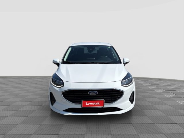 FORD Fiesta usata 7