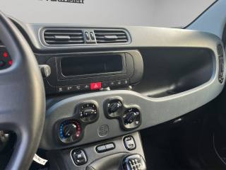 FIAT Panda usata 13