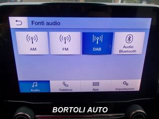 FORD Fiesta usata, con Controllo vocale
