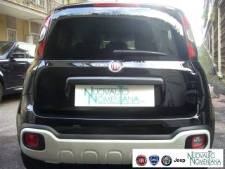 FIAT Panda Cross usata, con Fendinebbia