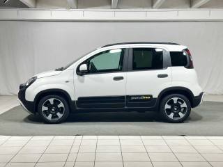 FIAT Panda usata, con Airbag