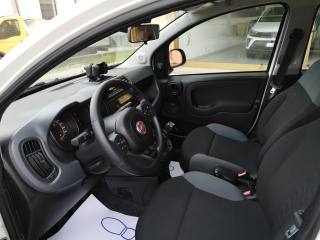 FIAT Panda usata, con Fendinebbia