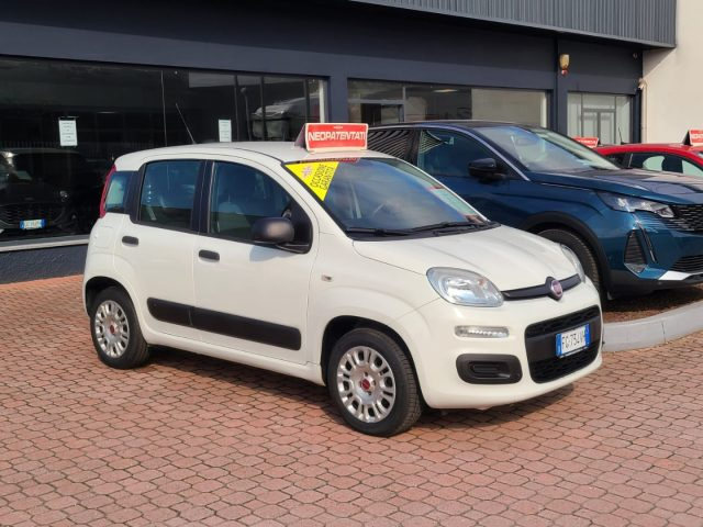 FIAT Panda usata 22