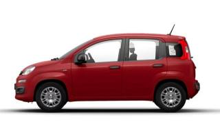 FIAT Panda usata, con Airbag Passeggero
